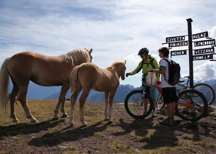 Maison Al Аллеге